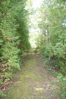 Hiking Trail - Country homes for sale and luxury real estate including horse farms and property in the Caledon and King City areas near Toronto